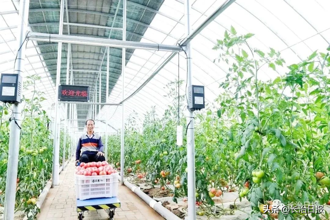 沁河生态景观综合治理,沁源生态修复