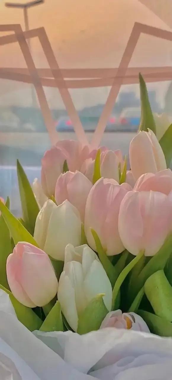 哪种花的花语适合送自己,什么花适合送朋友花语是什么