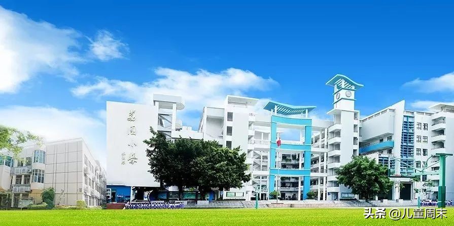 深圳各区有哪些热门学校,深圳福田私立小学学校排名