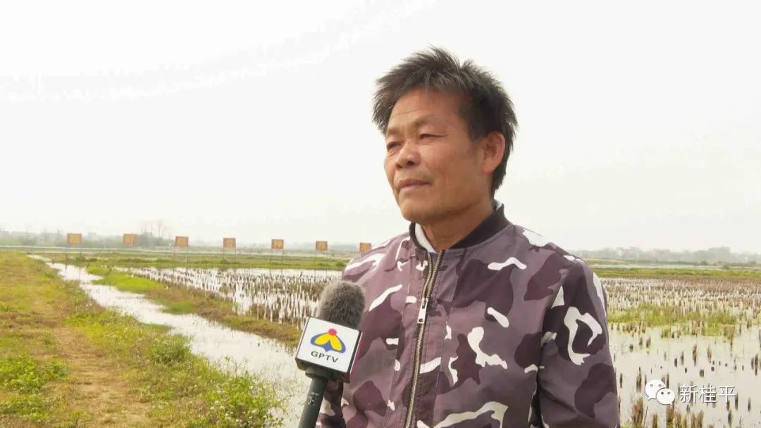 桂平：生态小龙虾错峰养殖助力乡村振兴