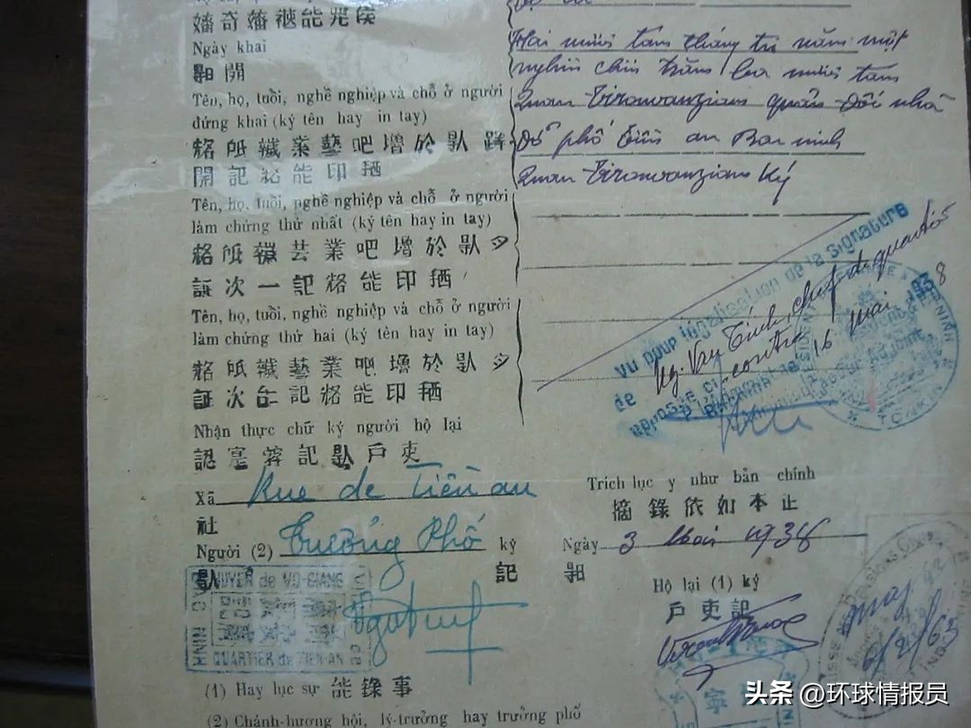 猫也能混进十二生肖？越南为什么不过兔年，而是过猫年？