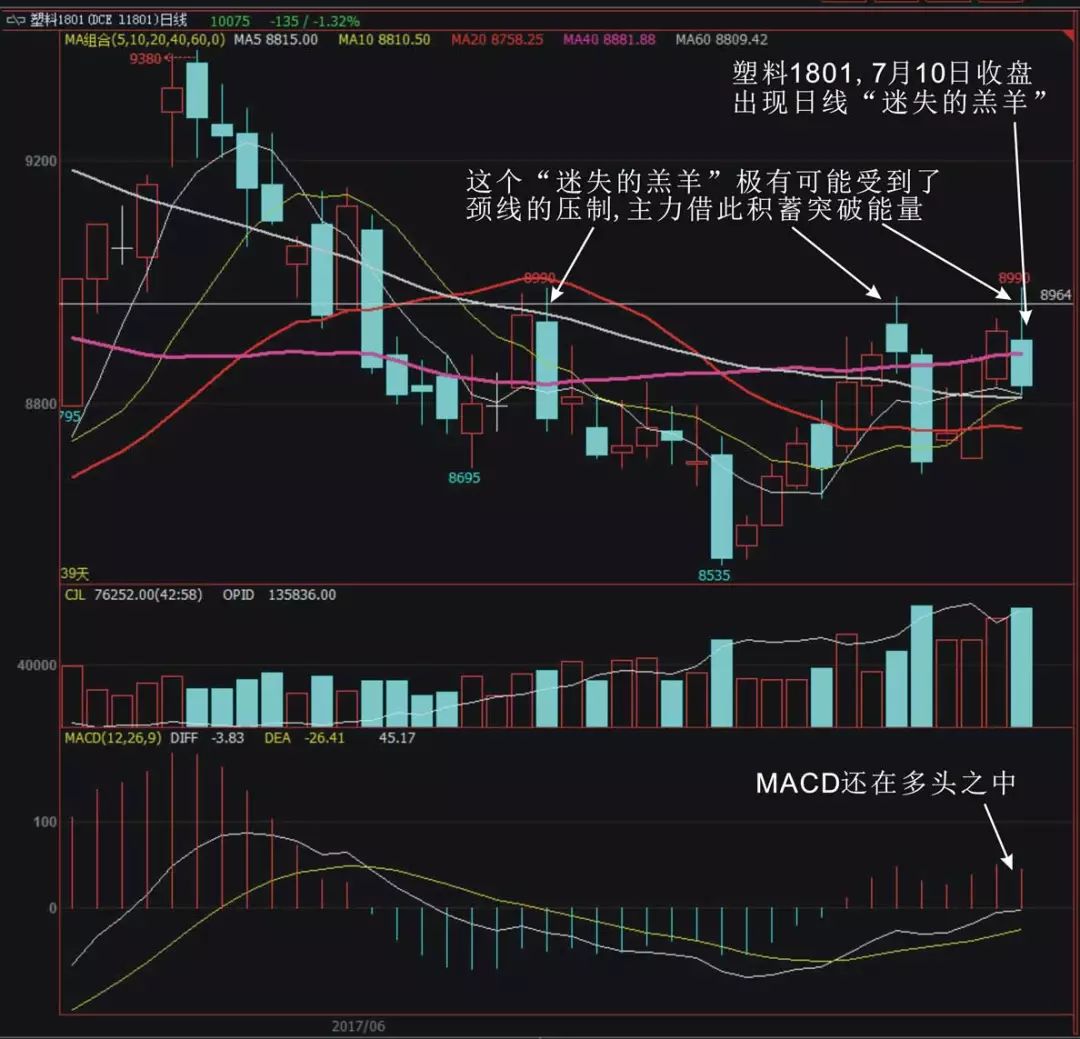 被“夜老虎”打趴下去后，我如何成为一个稳定盈利的“狩猎者”？