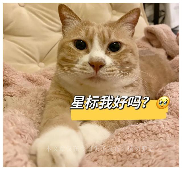 好看已经夸累了!装了1年多的新家,无私交出我爱买的7家网店