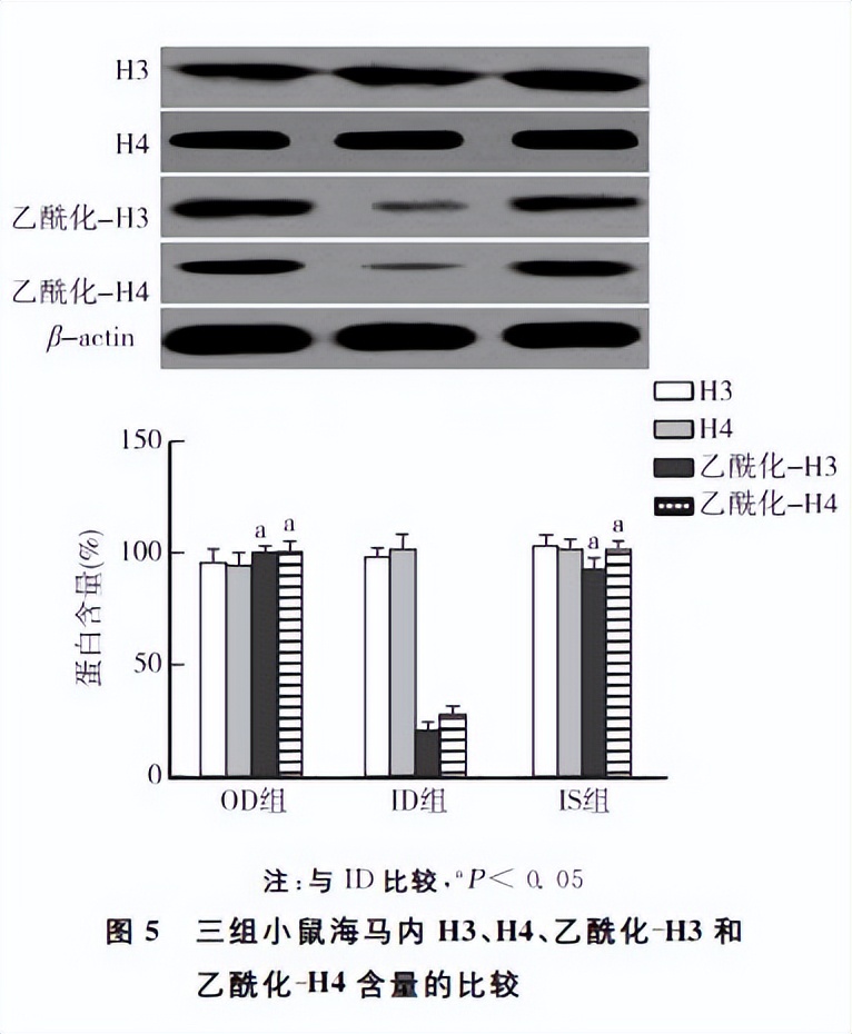 认知功能障碍研究进展,术后认知障碍与术后谵妄的区别
