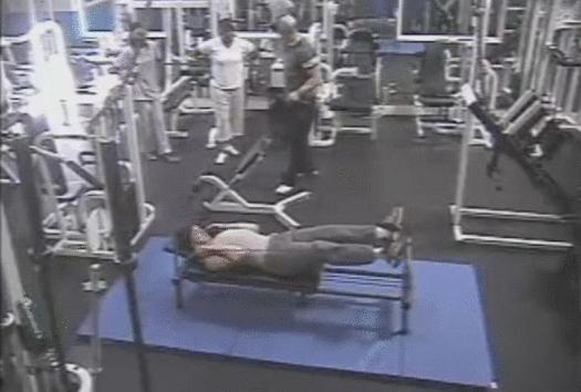 世界上最壮的牛照片,世界最壮的牛图片