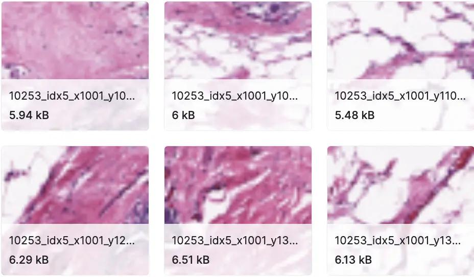 60+开源数据集资源大合集（医学图像、卫星图像、自动驾驶等）