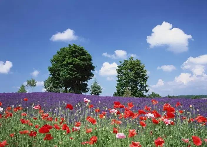 童言稚语幼儿视频,女儿童言稚语记录