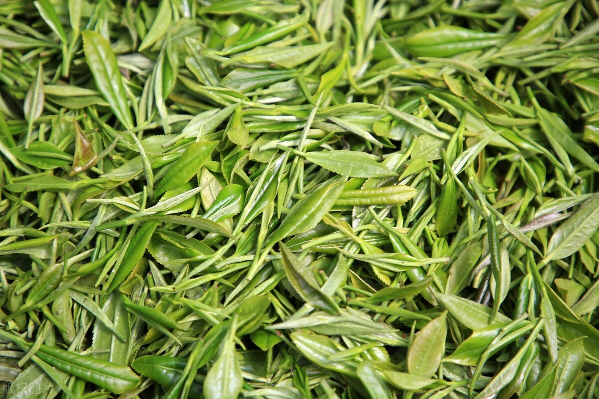 茶叶如何才算烤干,茶叶晒干和烘干有什么区别