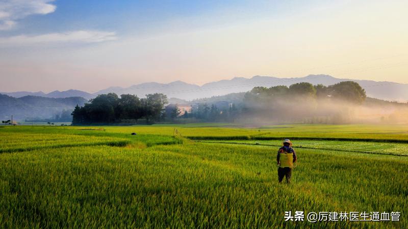宝塔糖除了除虫还可以干嘛,宝塔糖除虫的药七十年代