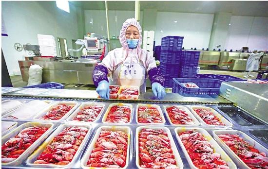 卡塔尔世界杯禁酒球迷,为什么卡塔尔世界杯禁酒