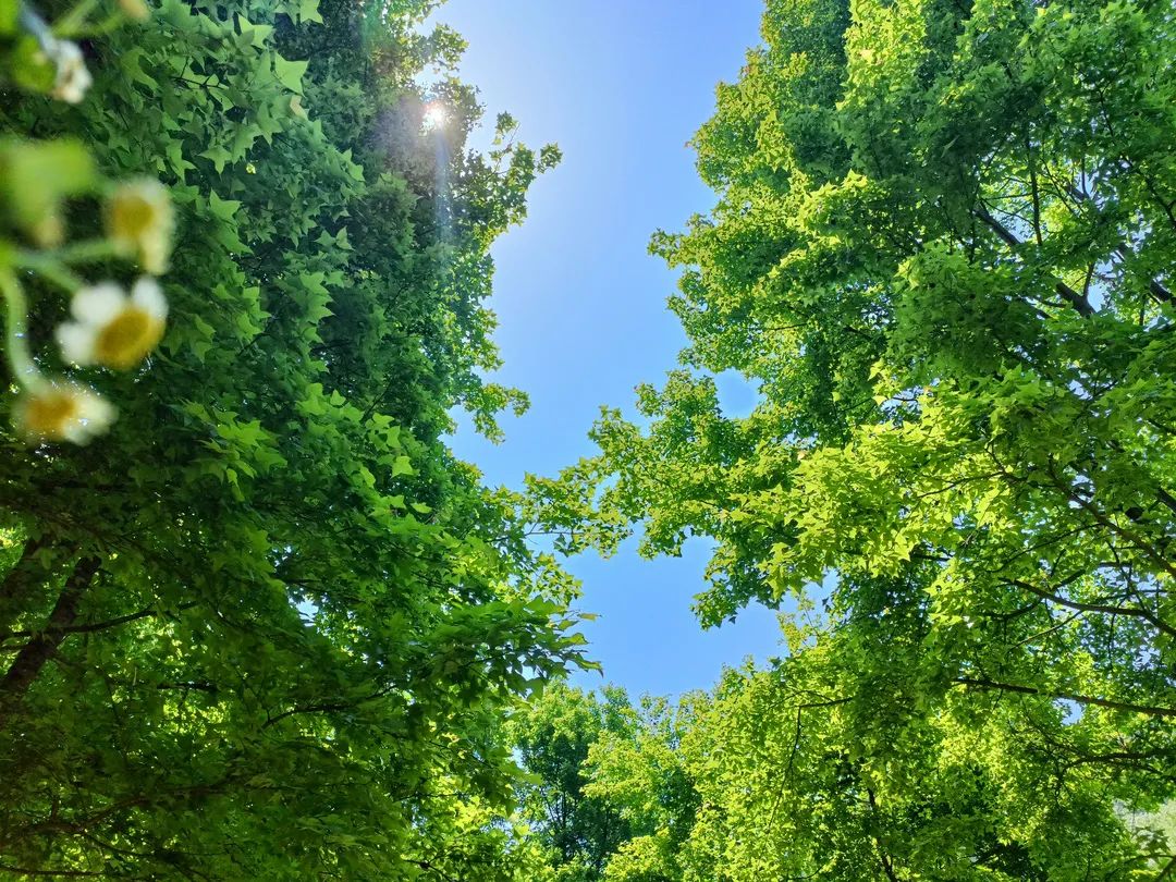 这些韶关最值得爬的山，你登过几座？