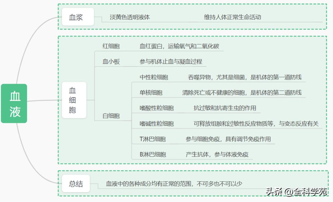 了解血液,了解血液的秘密