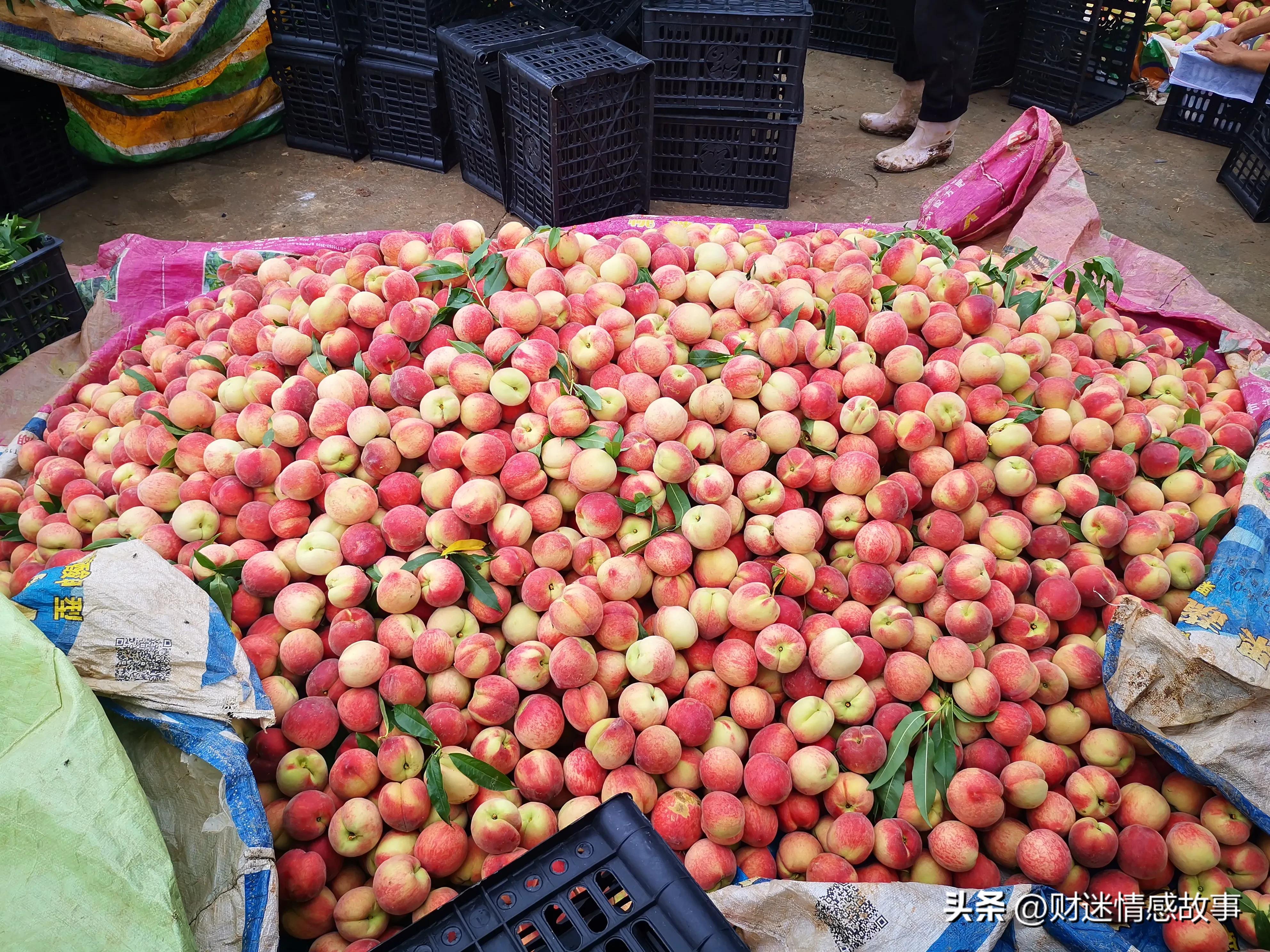 0投资快速赚钱方法大全,零投资如何赚钱最快的方法
