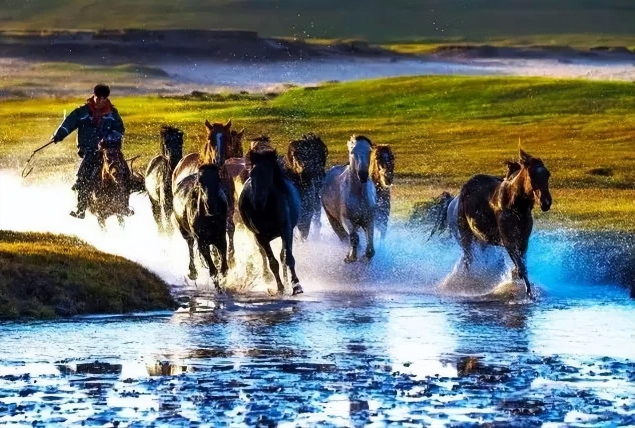 向北向北！|“美”在内蒙古