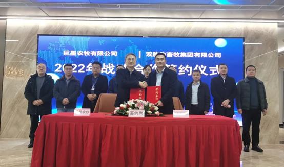 双胞胎和巨星农牧怎么选,双胞胎生猪上市计划