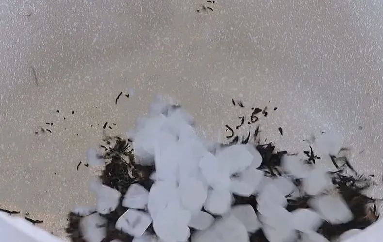 治疗咽痛喝什么,润肺止咳治咽痛