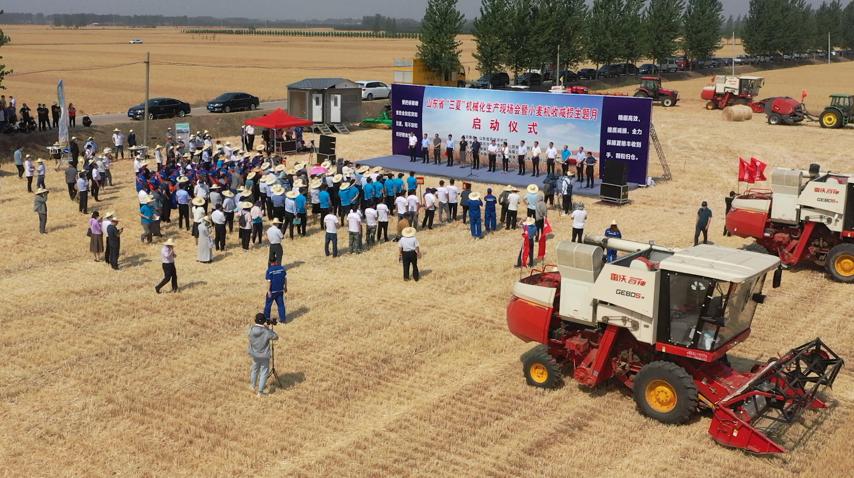 减出亿斤粮！潍柴雷沃以机收减损促颗粒归仓