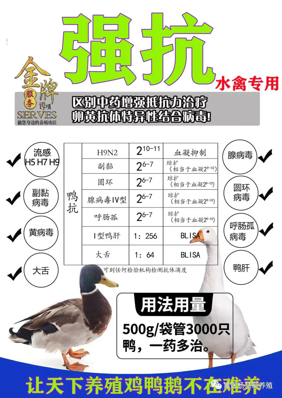 鸭禽流感初期症状,鸭禽流感症状怎么治