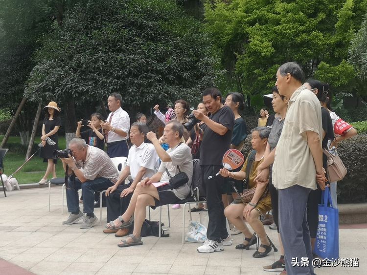 成都神仙树景区,成都神仙树大院好漂亮