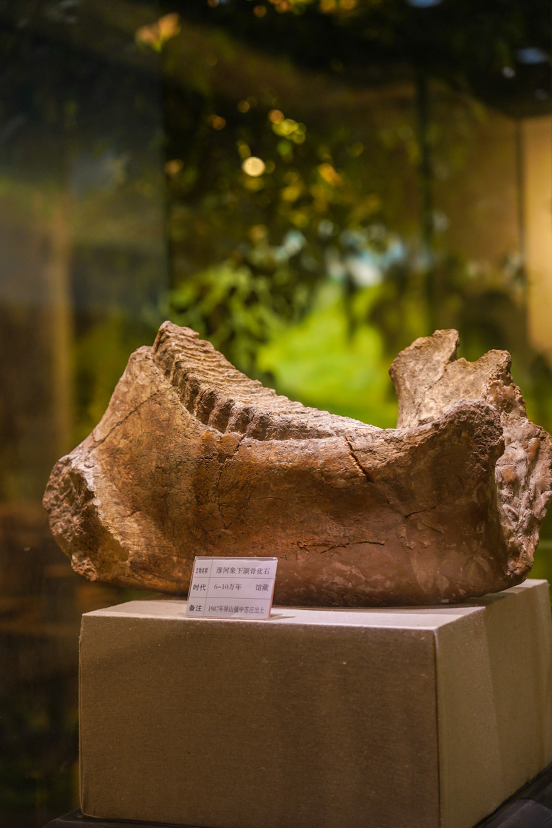 宿州靠谱的景点,宿州市埇桥区小众景点