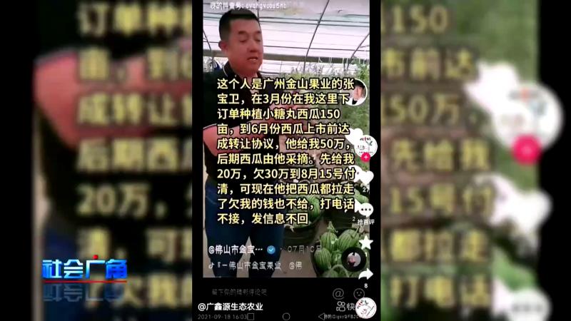 村里来了大老板？拿走50万樱桃不给钱！