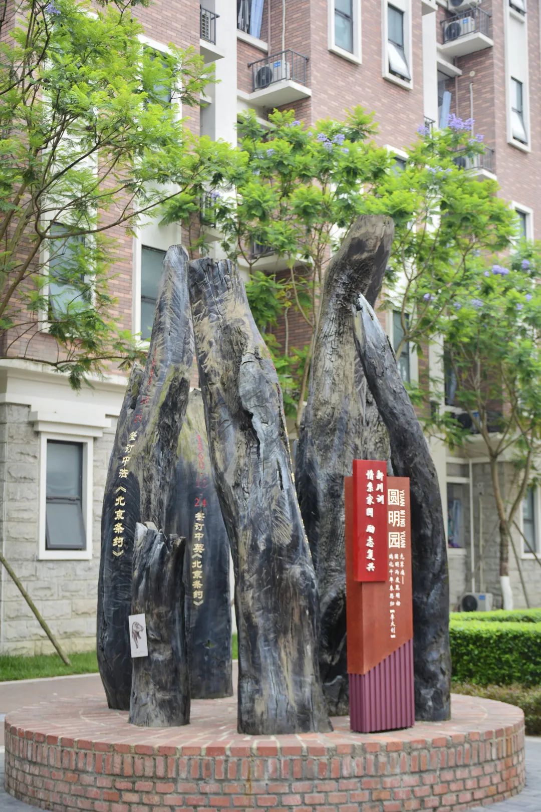 图鉴不凡｜如果你要看新川，就不能只看新川的美……