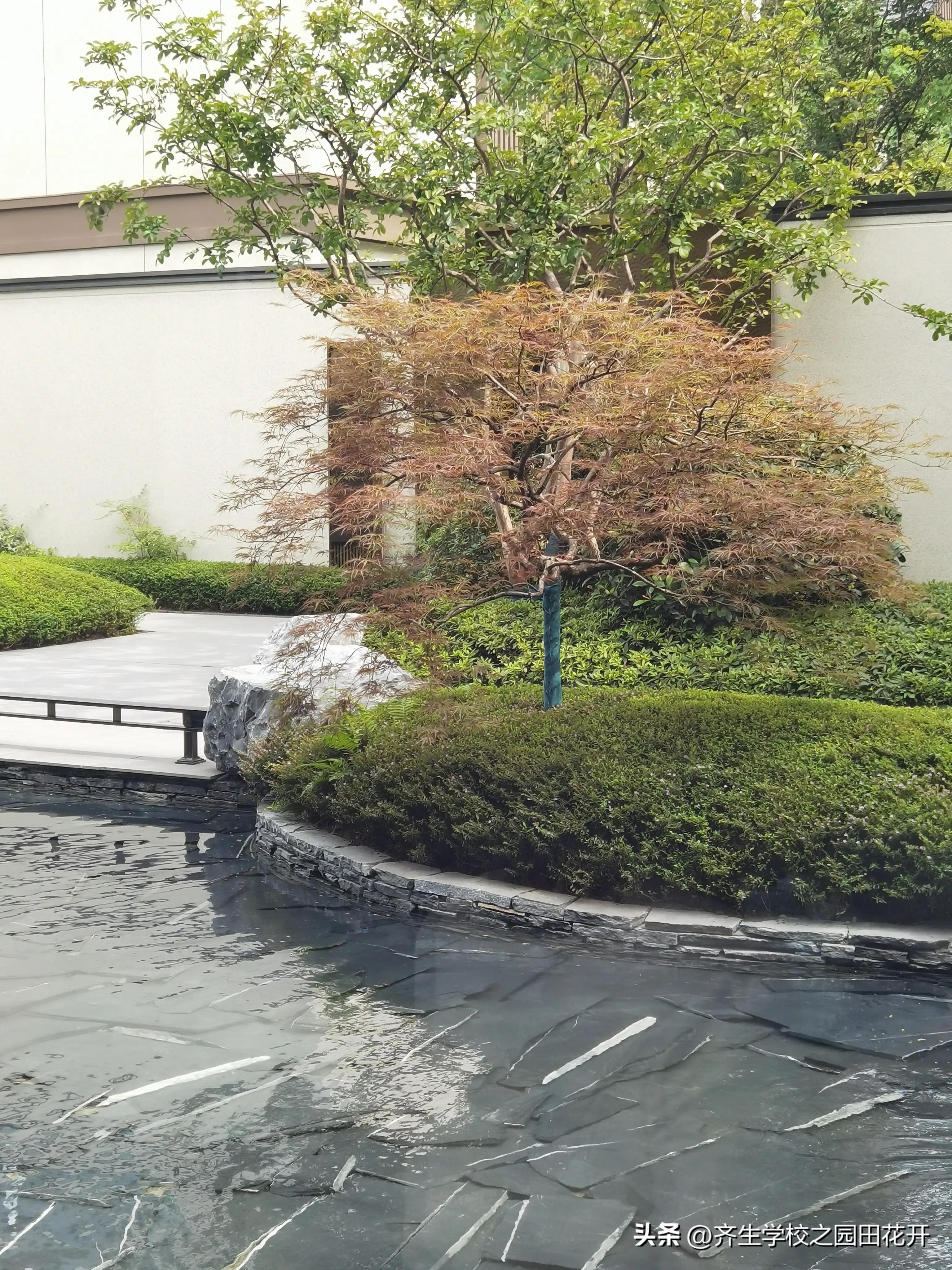 理想花园质量问题,花园庭院设计2024年新趋势