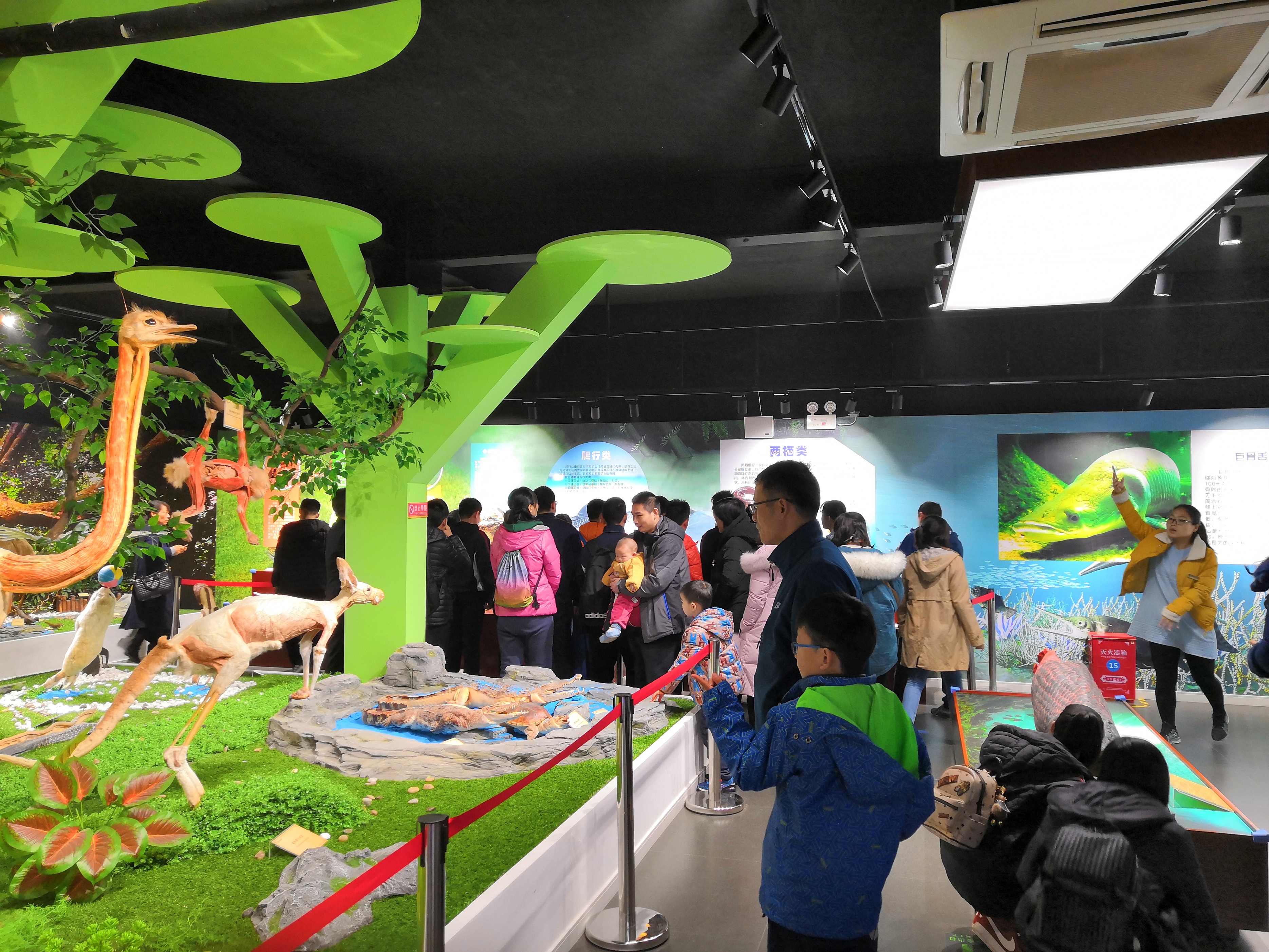 郑州出发暑假东北三省自驾游攻略,郑州出发山西自驾游线路推荐五天