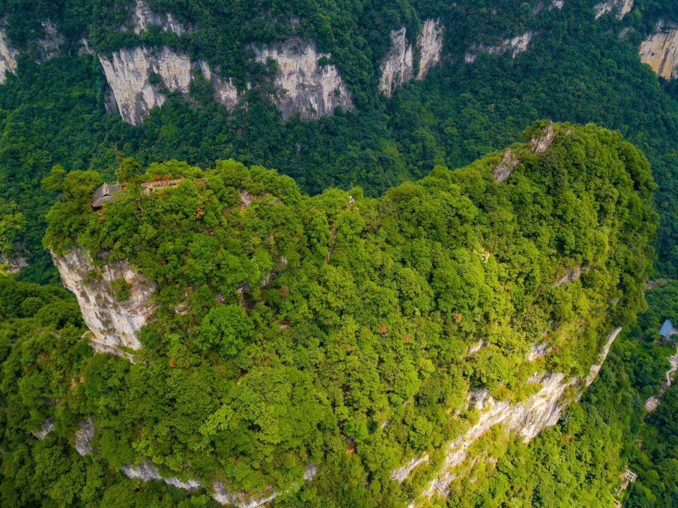 毕节油杉河景区,贵州夏季的避暑景点