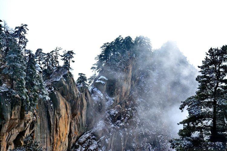 不会吧!不会吧!不会还有人不知道宝天曼吧?