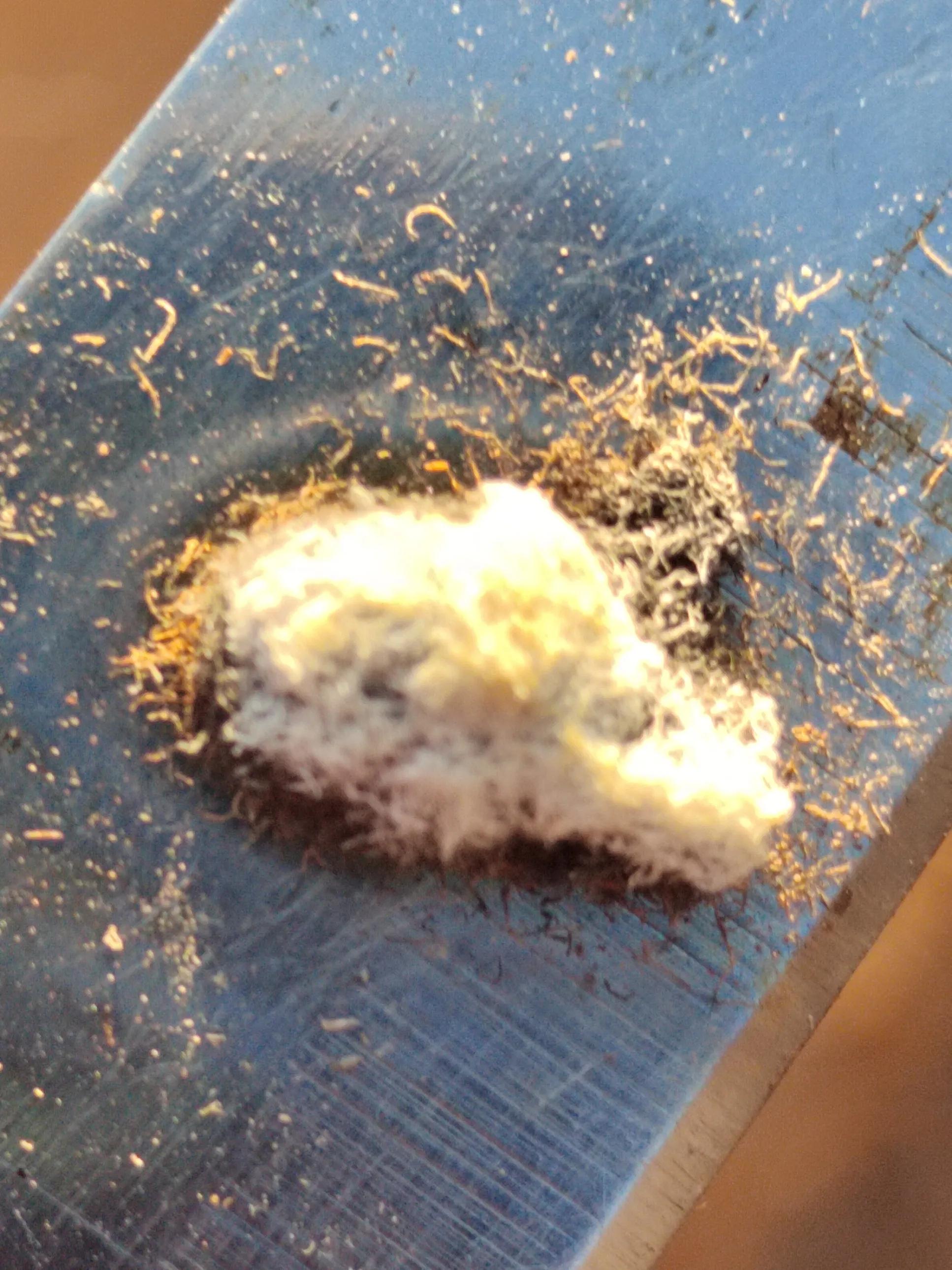 海南霸王岭白奇楠,海南白奇楠和紫奇楠