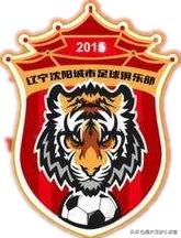 盘点足球运动员的满背老虎,虎年篮球预测分析