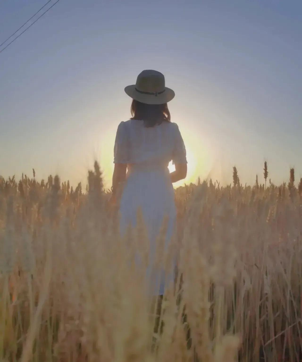 风吹麦浪诗歌,风吹麦浪女声原唱