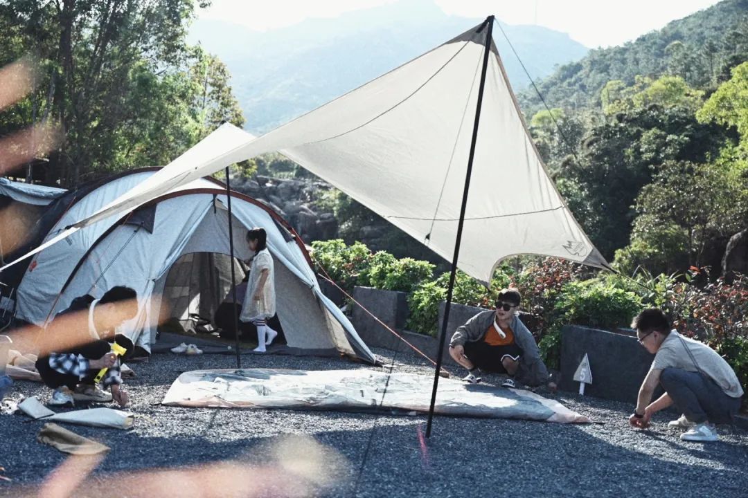 海岛森林露营,森林公园露营地攻略