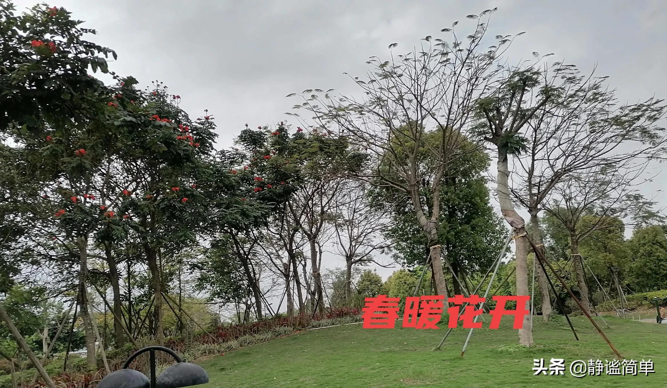 风干海鱼做法最好吃最简单,清明节气鱼做法