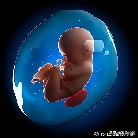 当孩子问及性的问题或有性荫动行为时，带孩子老人必知的育儿常识