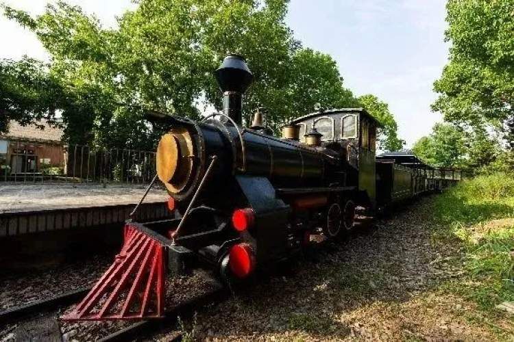 顾村公园冬季好玩吗,顾村公园游玩线路攻略一日游