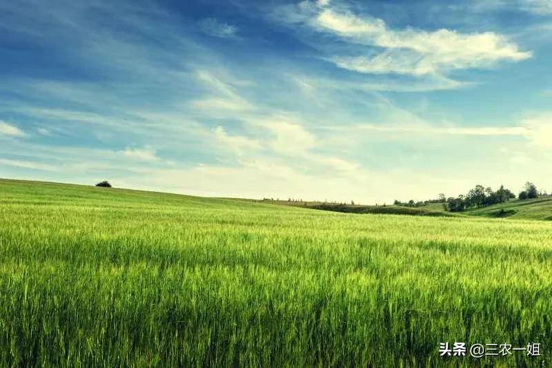 “四月初一朔，不可见风雨”是啥意思？初一晴天啥预兆？农谚咋说