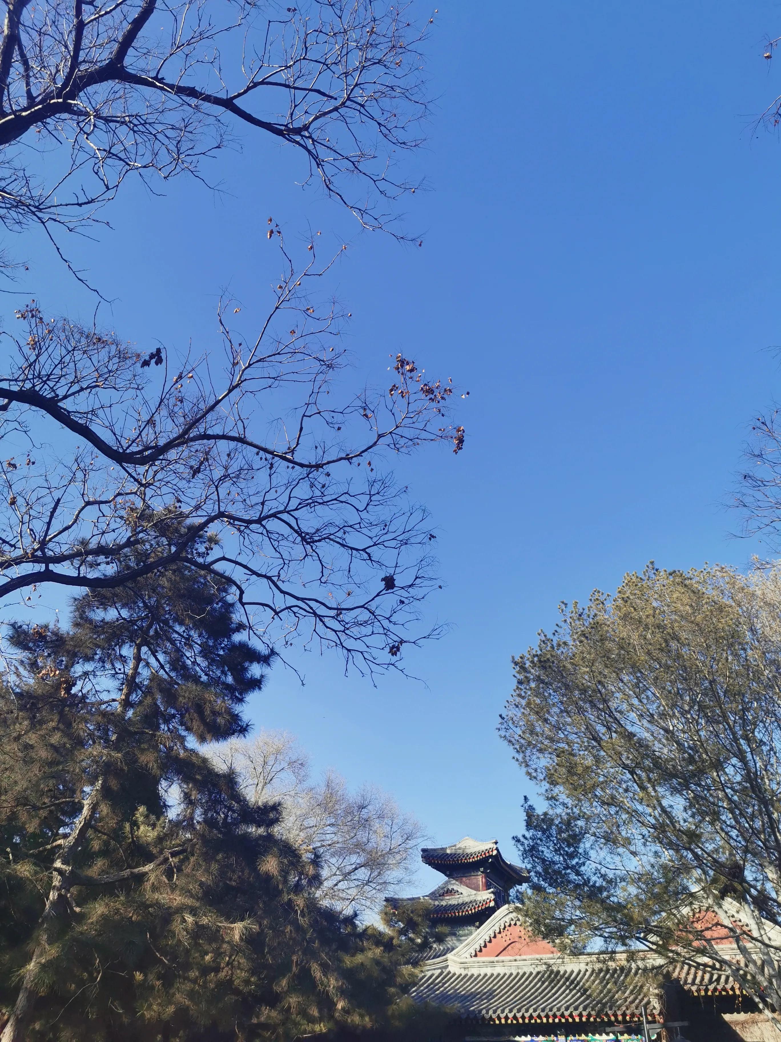 游玩趣乐,游玩陶然亭公园感受