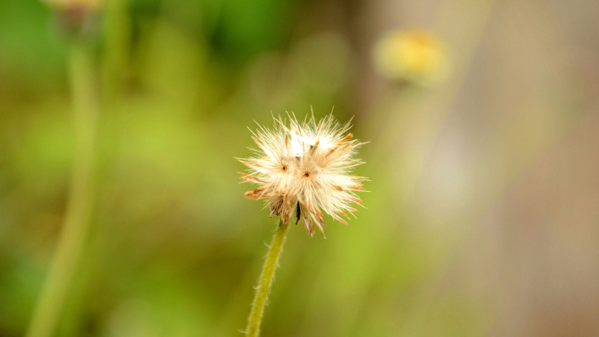 吃过大苦的人有这几个特征,吃过苦的女人有八大特征