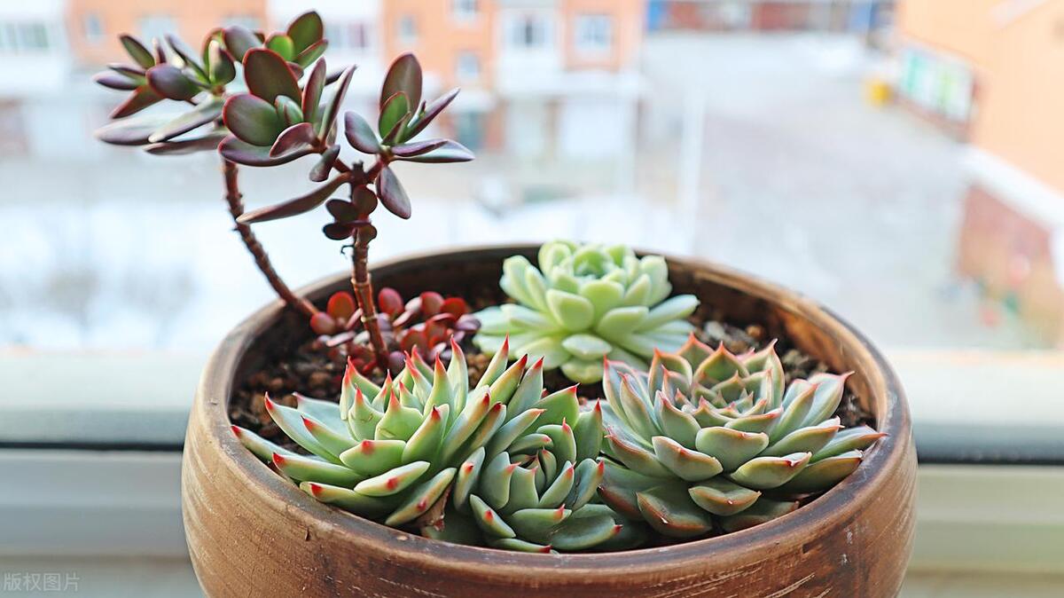 装修后有什么除甲醛最好的方法,装修后怎样除甲醛最有效