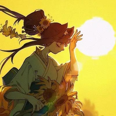 夏天的落日如此美丽,黄昏的日落是那么美丽