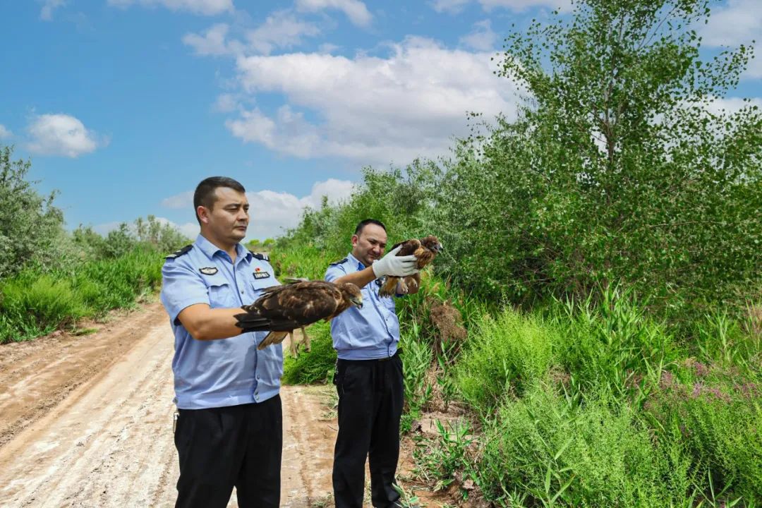 警保夏季治安打击整治行动,公安夏季治安打击整治百日行动