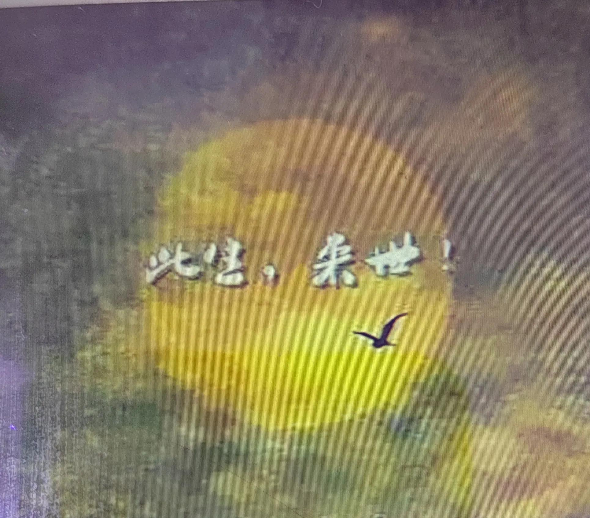 清明遥祭对天堂挥之不去的思念,清明遥祭天堂里的亲人