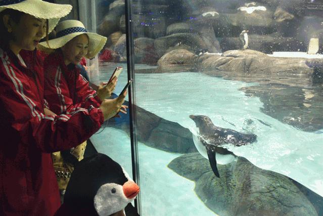 厦门冰雪游乐园时间2020,福建厦门冰雪大世界