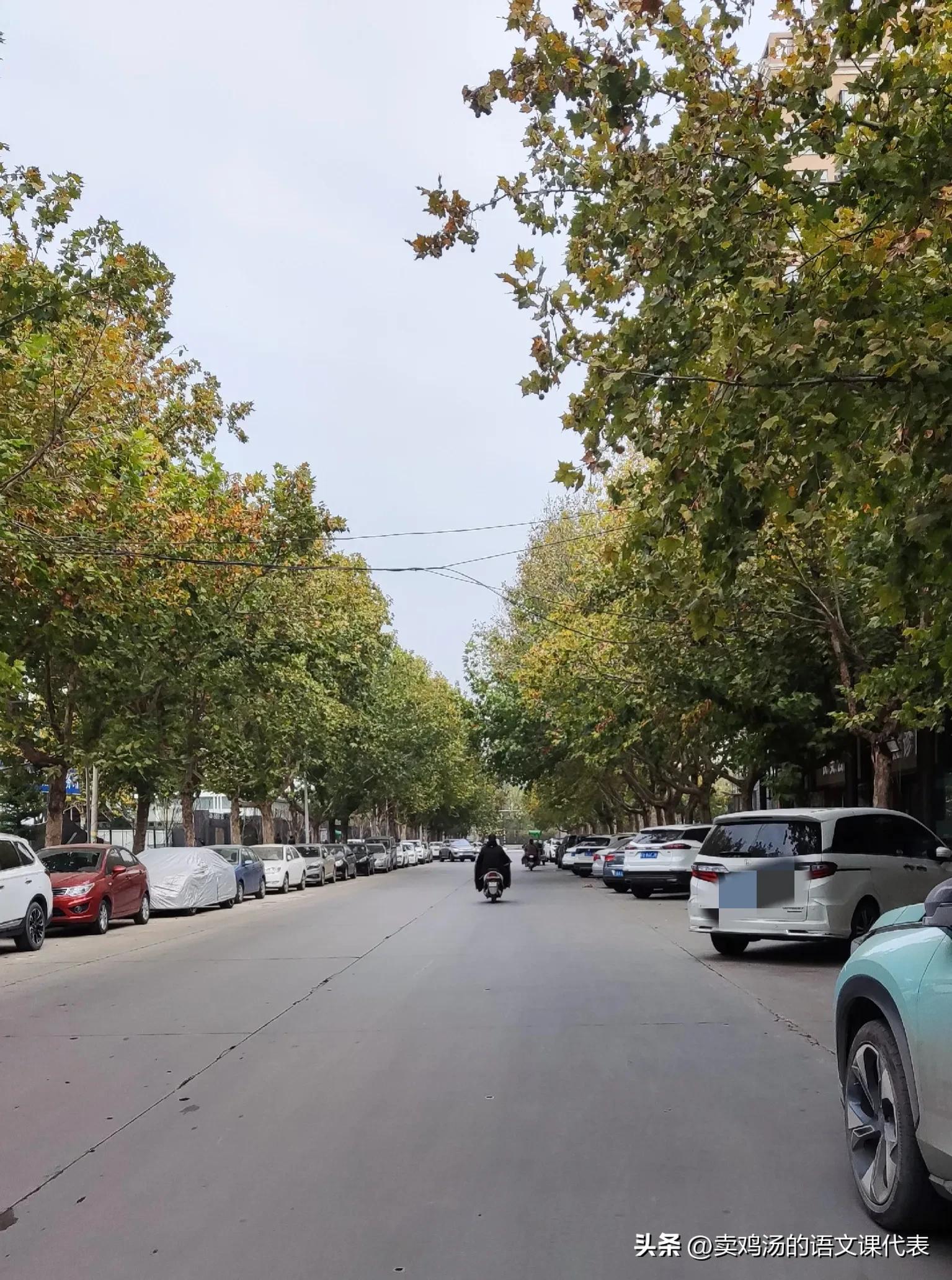 25周孕妇阳了影响胎儿吗,怀孕6周到7周了解三件事