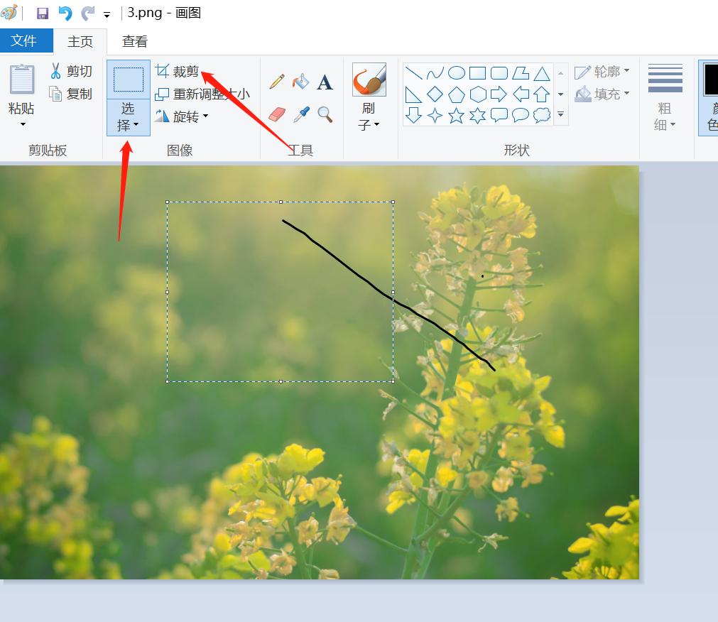 怎么截取图片的一部分画面,怎么截取图片的一小部分