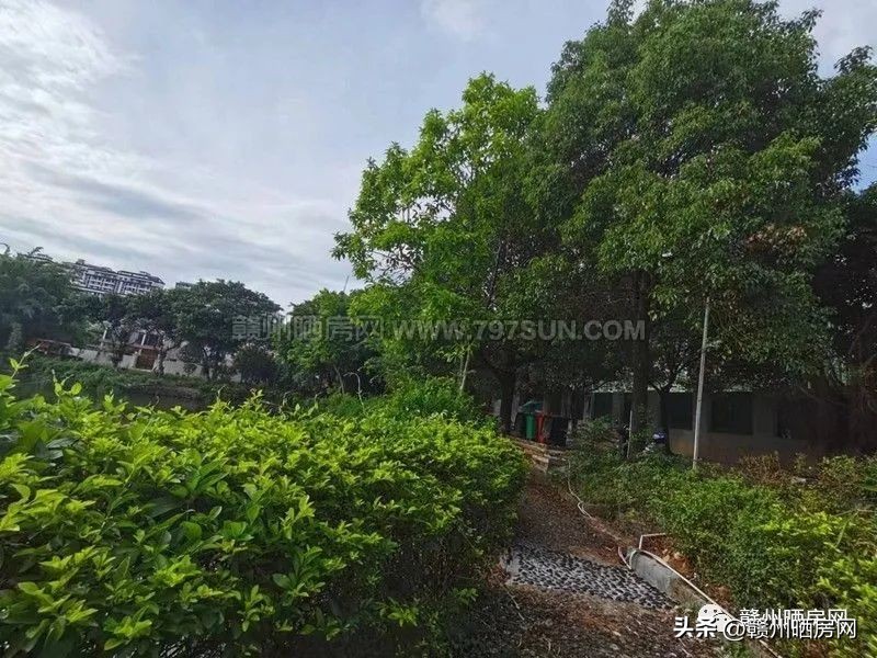 赣州万达附近的小区有哪些,赣州万达广场别墅