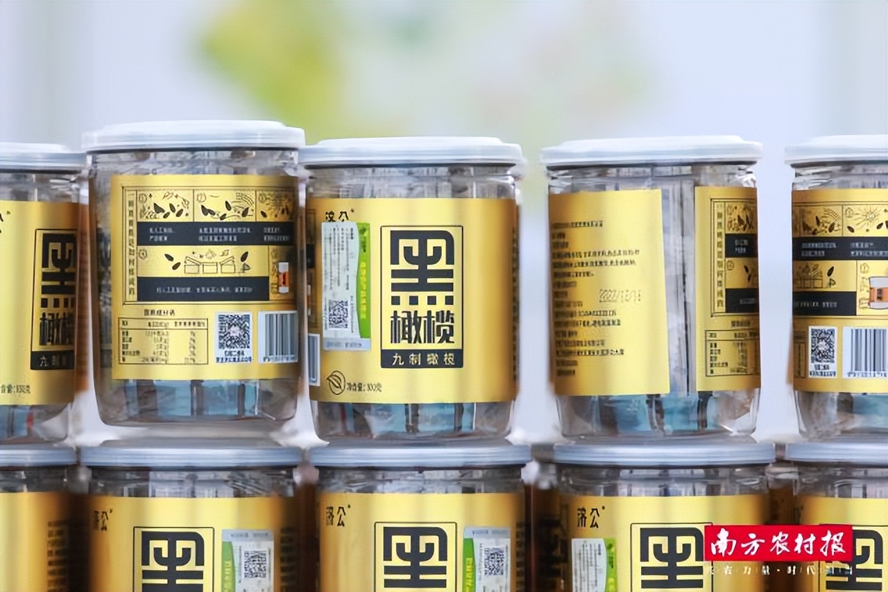 潮州金山橄榄,老树橄榄和潮州橄榄