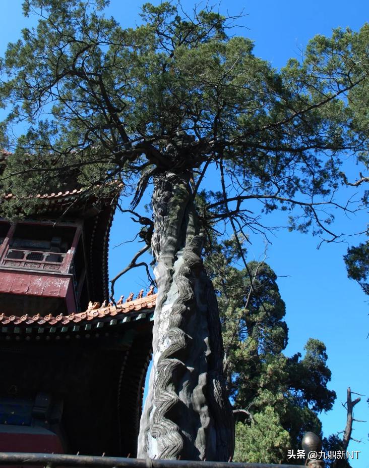 曲阜孔庙古代建筑群艺术,古建之美曲阜孔庙